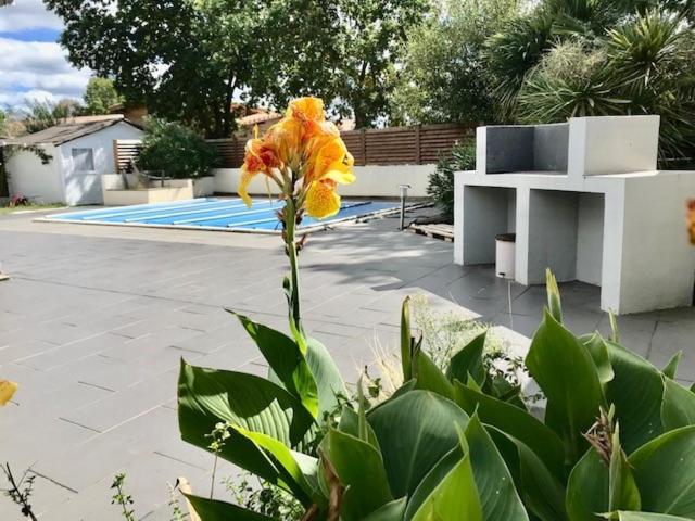 Maison Piscine 4 Ch Carcans Medoc Bassin Arcachon Екстер'єр фото