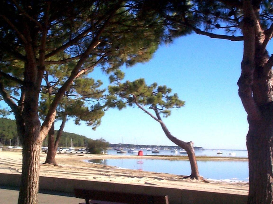 Maison Piscine 4 Ch Carcans Medoc Bassin Arcachon Екстер'єр фото
